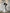 Classic Ivory Dream Nightgown